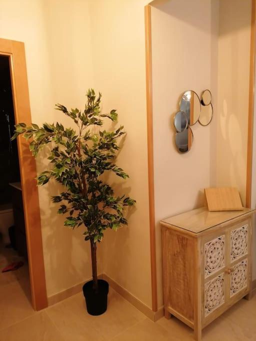 Apartamento Atico Duque Gran Terraza Parking Free Cartagena Exterior foto